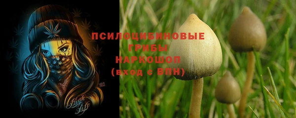 прущие крисы Медногорск