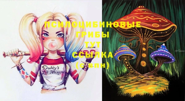 прущие крисы Медногорск