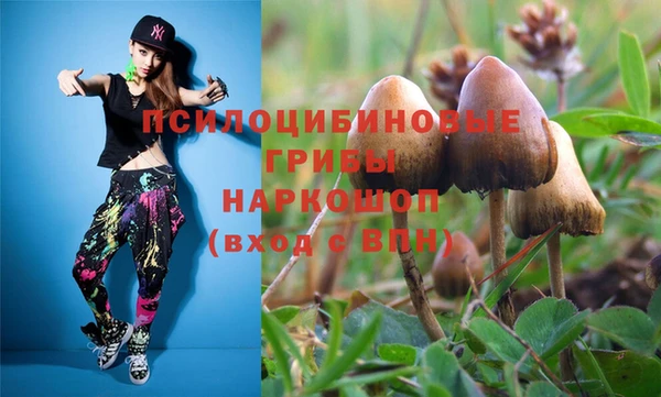 первитин Медвежьегорск