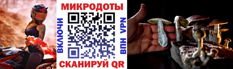 площадка наркотические препараты Мурманск Псилоцибиновые грибы Psilocybe
