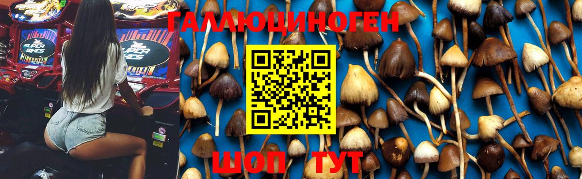 Мурманск  Галлюциногенные грибы MAGIC MUSHROOMS  Вход с VPN  где можно купить наркотик  Галлюциногенные грибы Psilocybe 